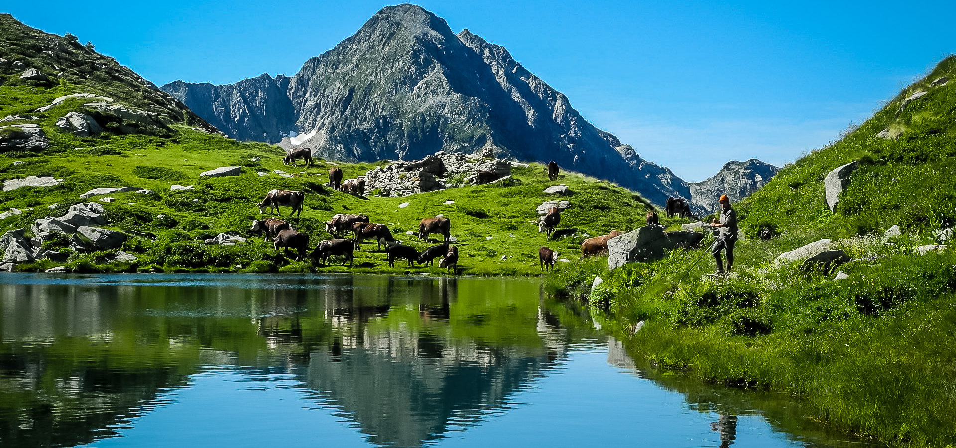 Il Lago Torretta (o Fourmoil) circondato dalle mucche al pascolo